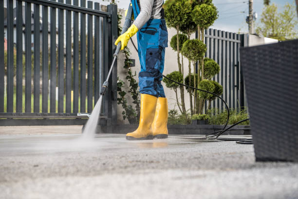 Best Animal Enclosure Cleaning  in Fannett, TX