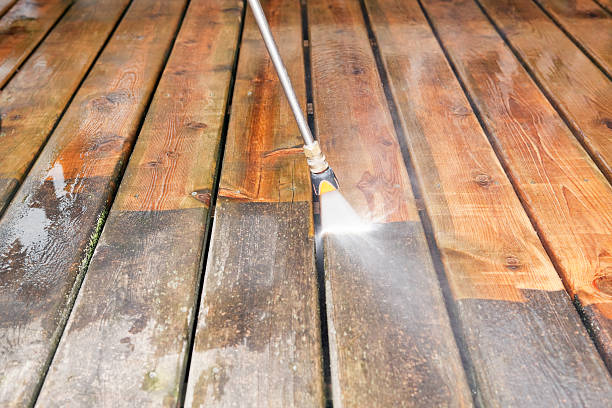 Best Animal Enclosure Cleaning  in Fannett, TX